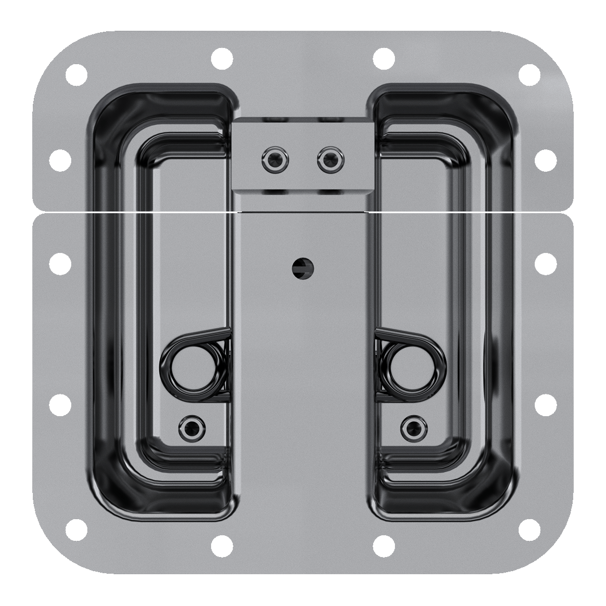 Pad lockable Protective Surface Mount Latch