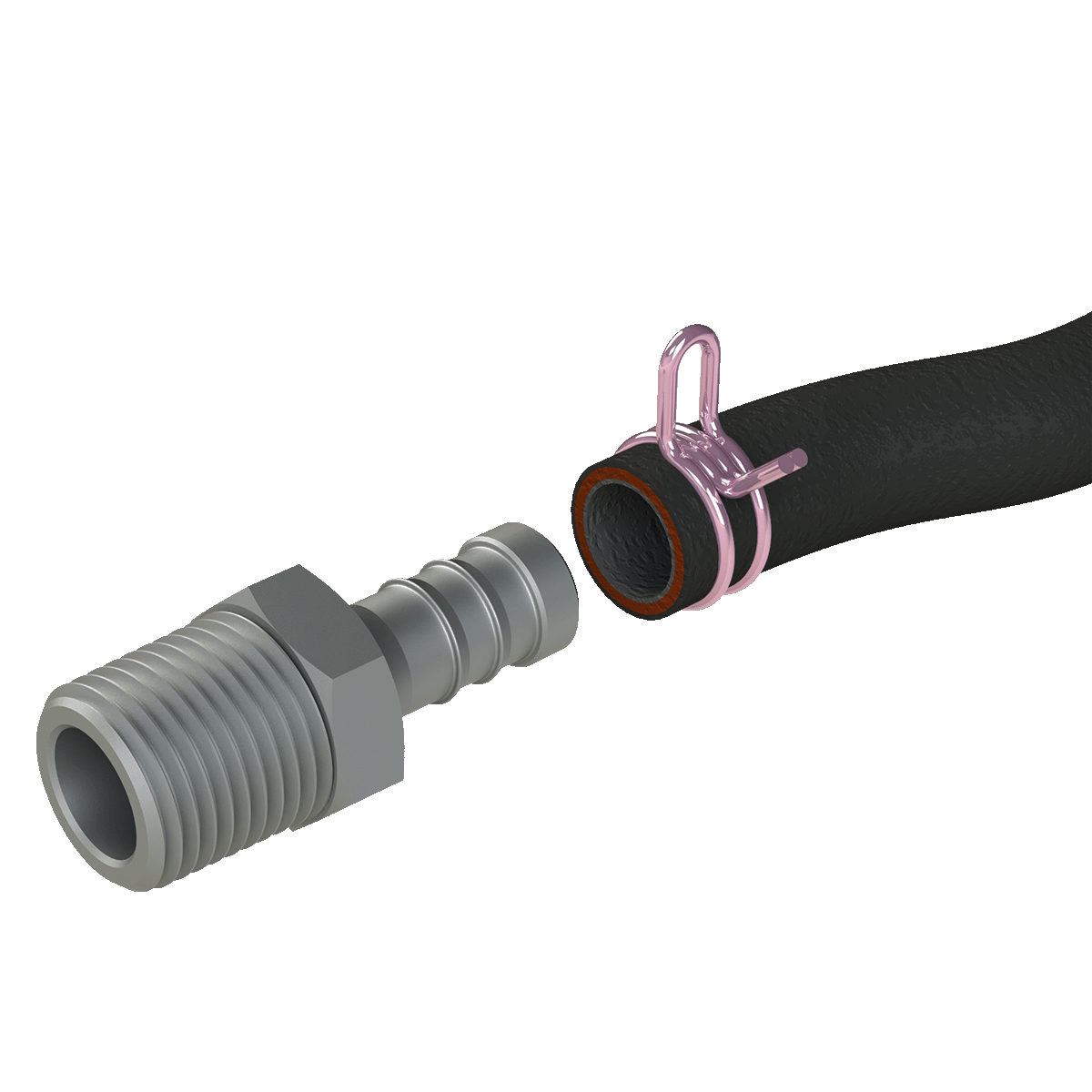 Hose with clamp and threaded adaptor
